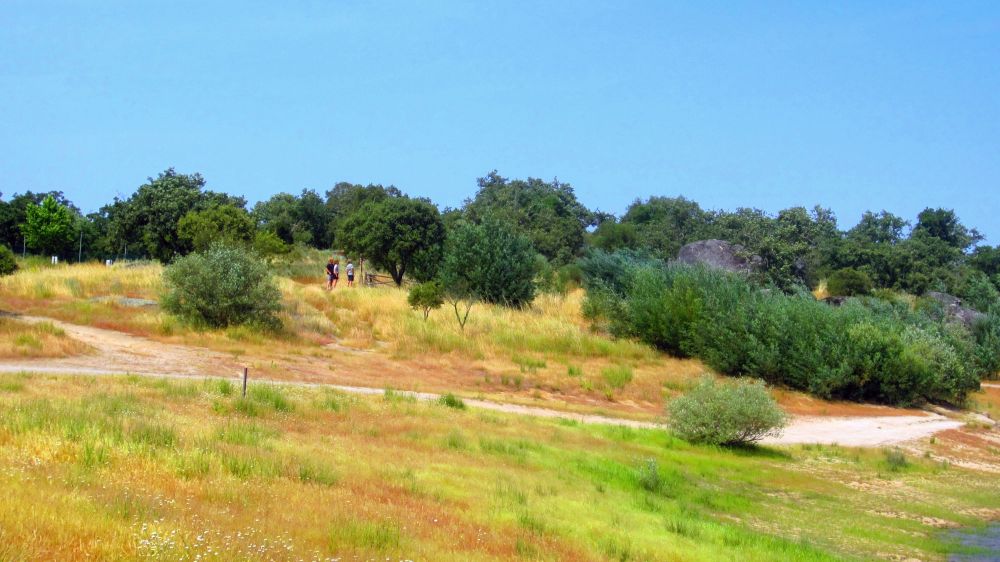 Boa vista