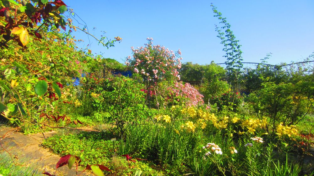 Rosengarten
