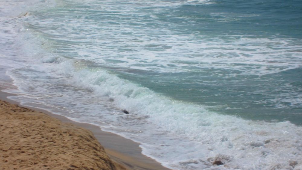 Meer