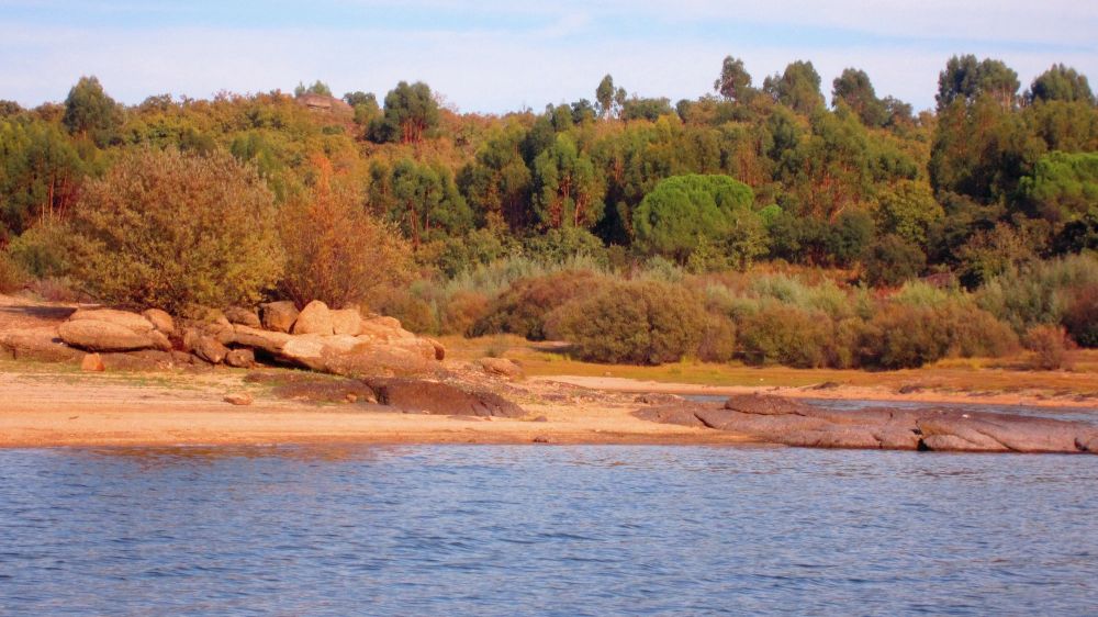 Ufer