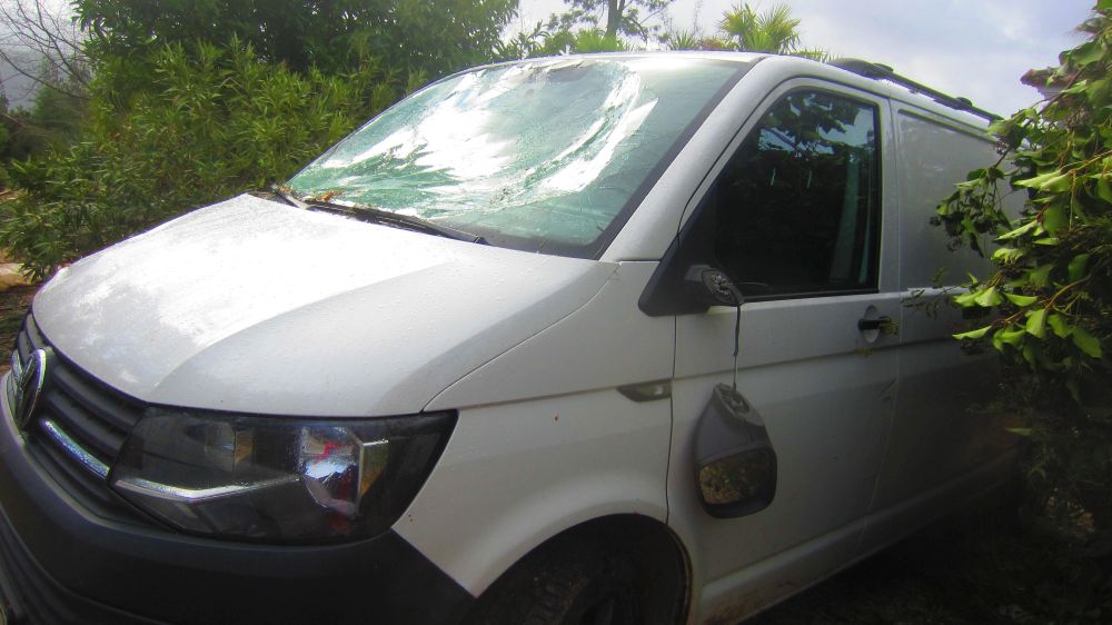 VW-Bus