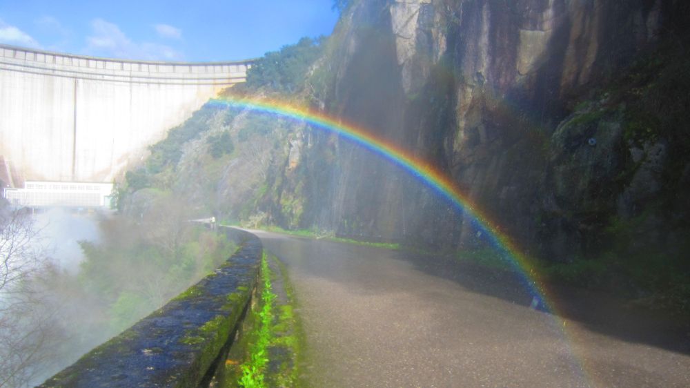 Regenbogen