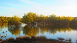 Nisa-Stausee