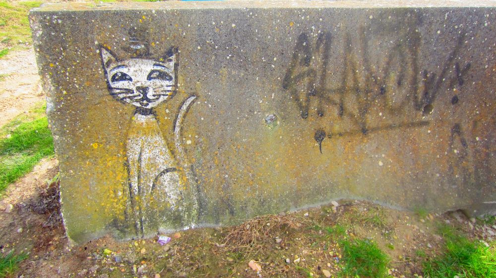 Grafitti_Katze