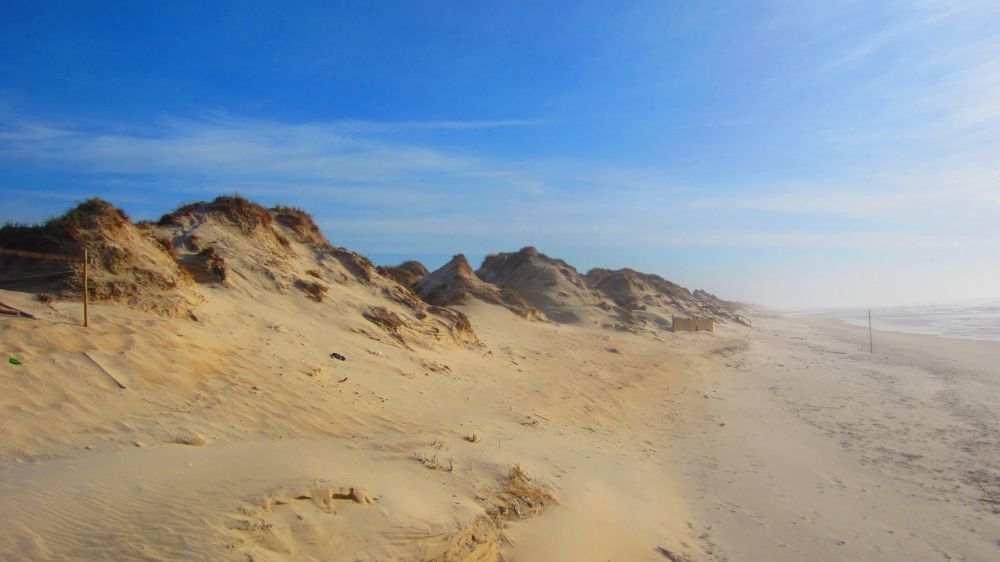 Strand