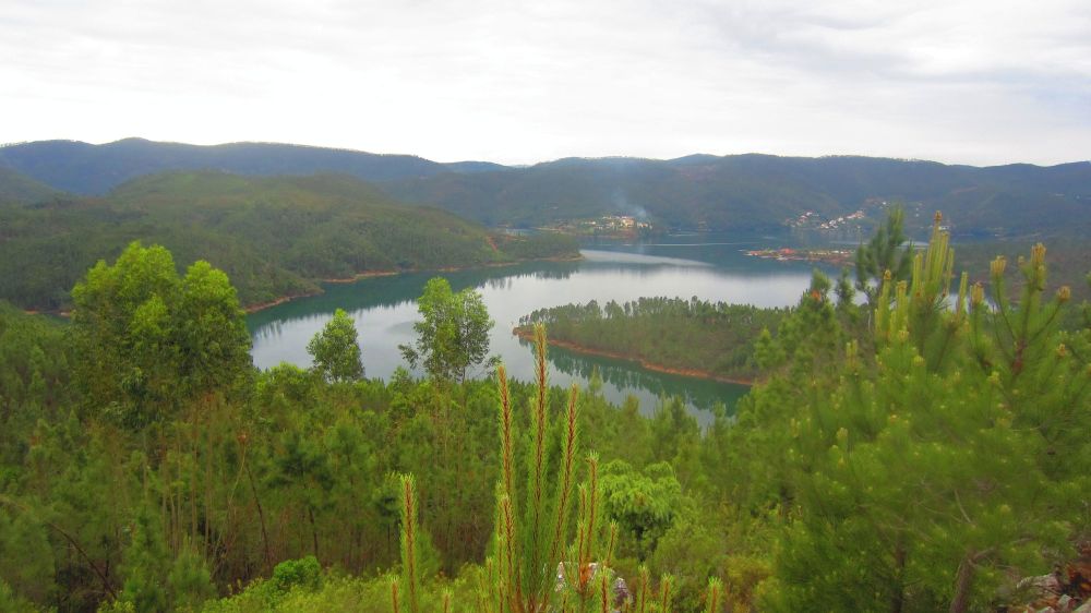Zezere