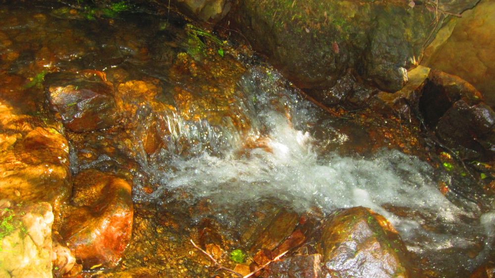 Wasser