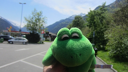 Frosch_am_Gotthard