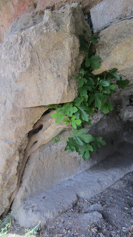 Tuscania_Etruskergrab