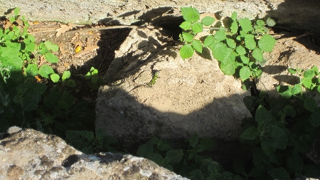 Tuscania_Etruskergrab