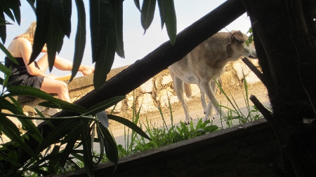 Piaggetta_Esther_Uta