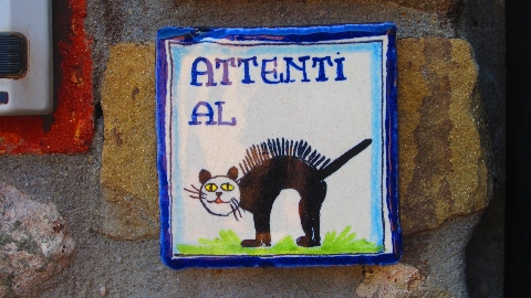 Gatta