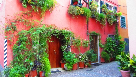 Fassade