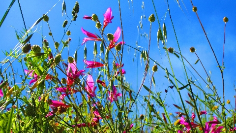 Vezzano