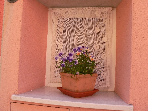 Blumentopf