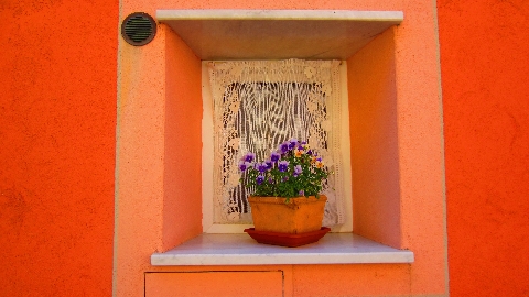Blumentopf