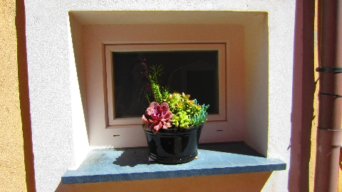 Fenster