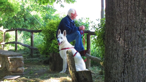 Hund