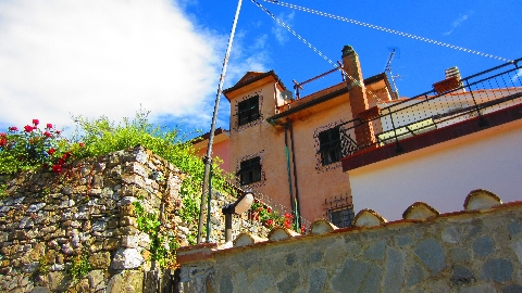 Haus