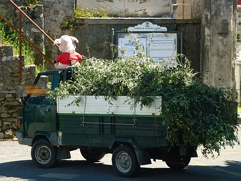 Vezzano