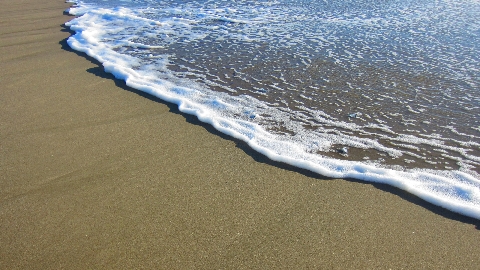 Meer