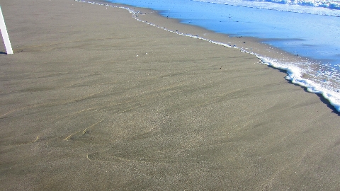Meer