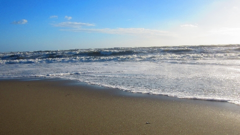 Meer