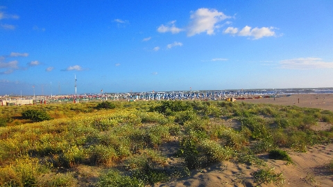 Strand