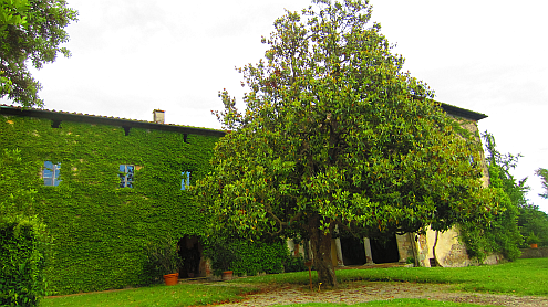 Villa_del_Vescovo