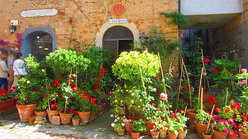 Bolgheri