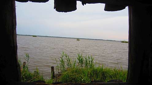 Oasi_Massaciuccoli