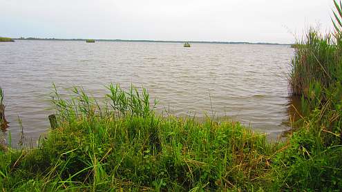 Oasi_Massaciuccoli