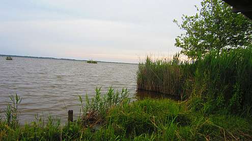 Oasi_Massaciuccoli