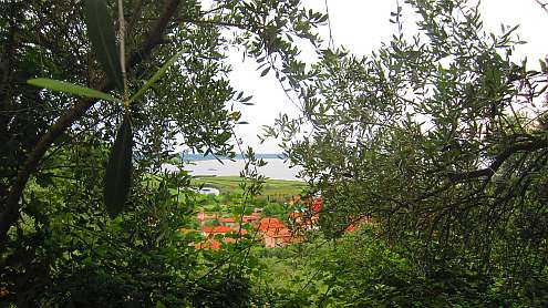Lago_Massaciuccoli