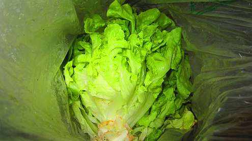 Salat