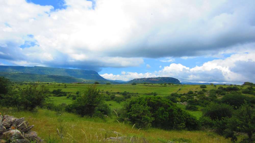 NurathenTal_