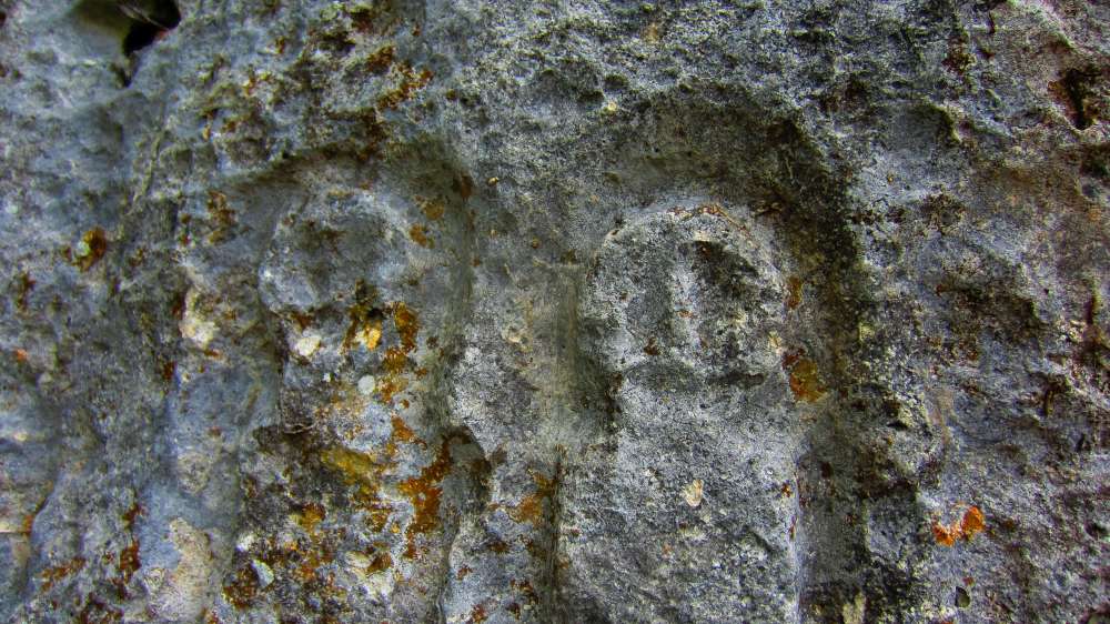 Museddu_Petroglyphen