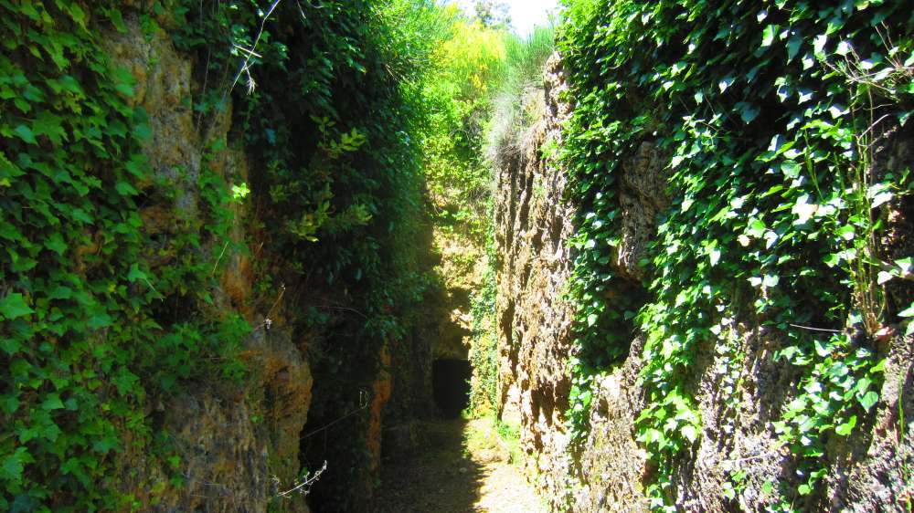 Sarteano_Pianacce_
