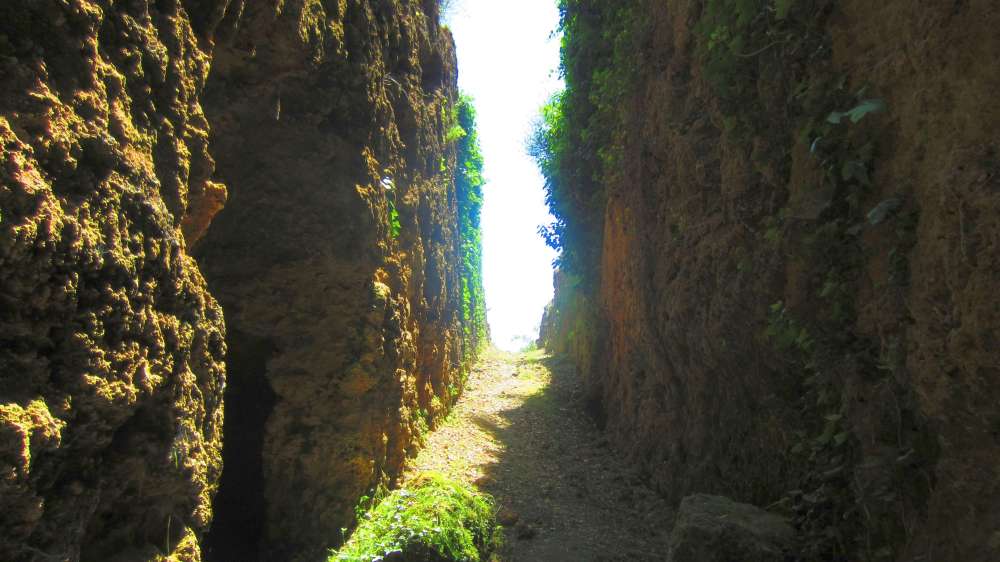 Sarteano_Pianacce_