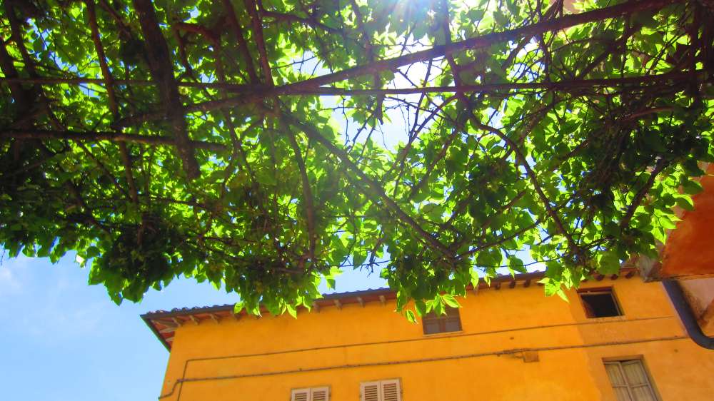 Sarteano_Eis