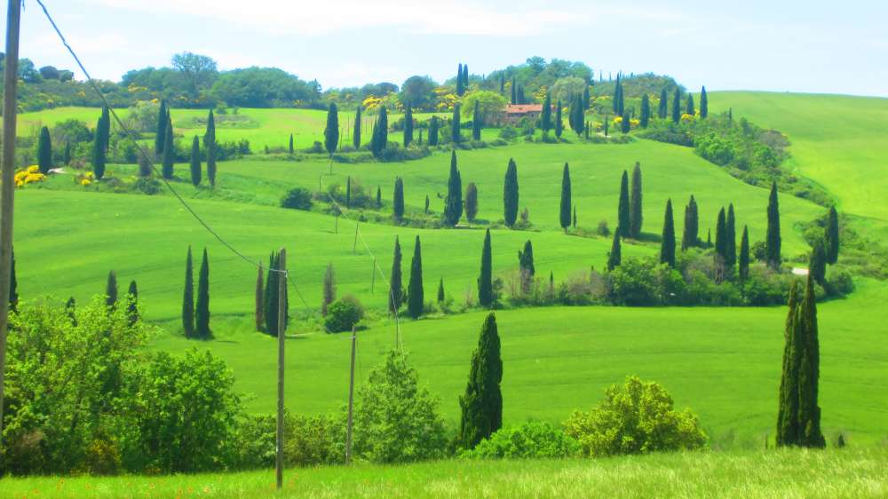 Crete_Senesi_