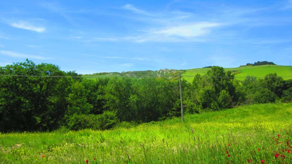 Crete_Senesi_