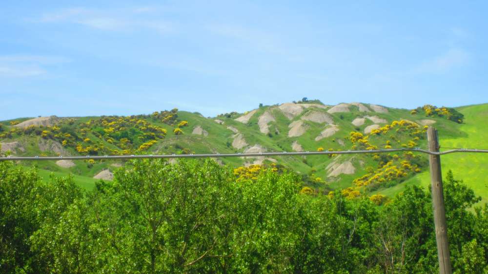 Crete_Senesi_