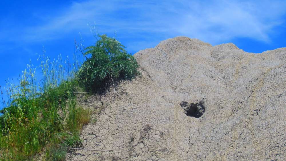 Crete_Senesi_