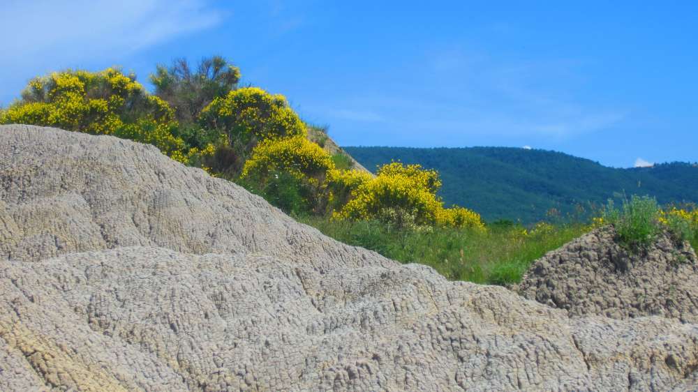 Crete_Senesi_
