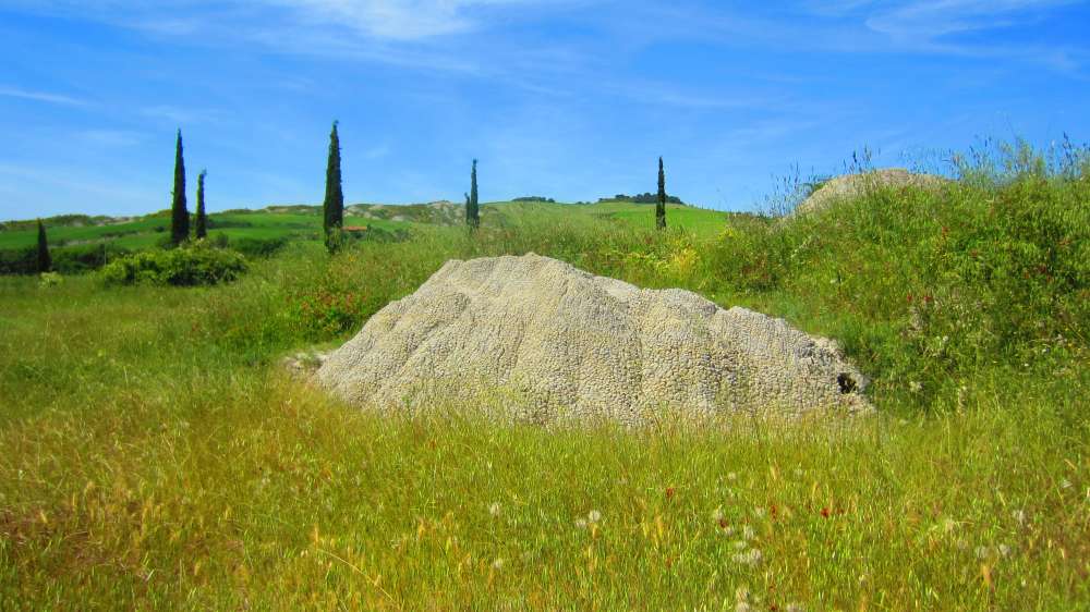 Crete_Senesi_