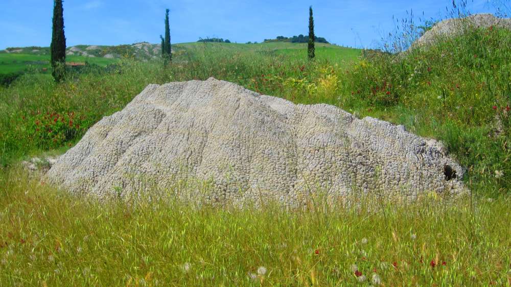 Crete_Senesi_