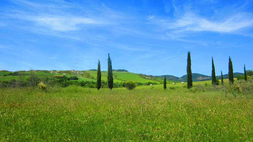 Crete_Senesi_