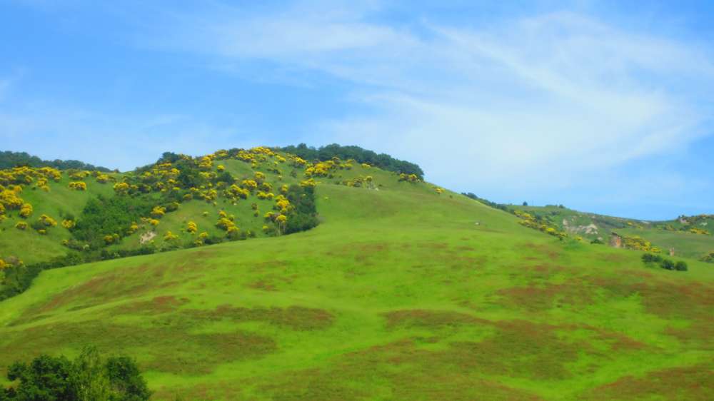 Crete_Senesi_