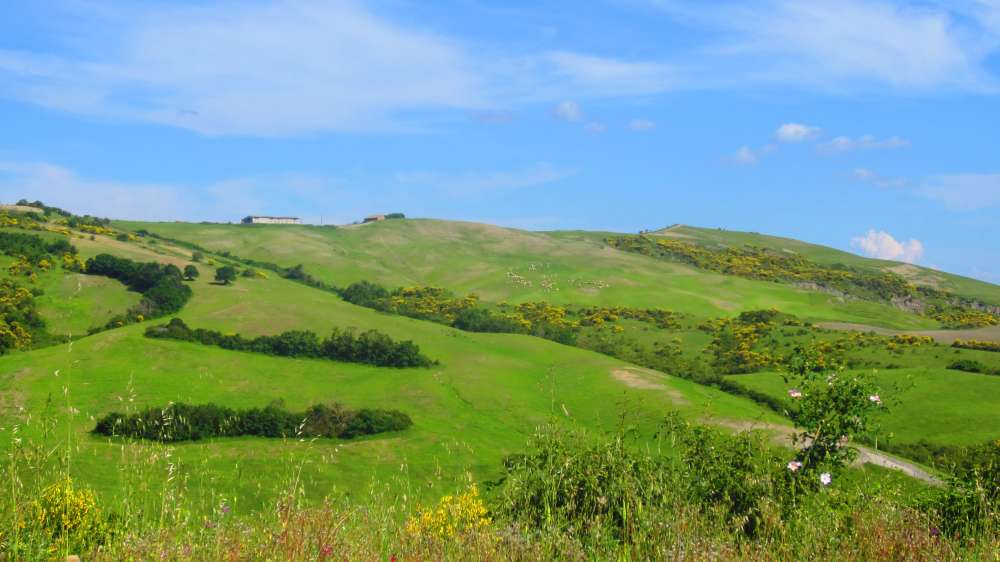 Crete_Senesi_